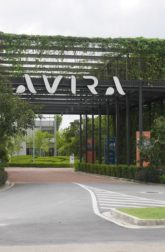 Cleaning Services at Avira, Iskandar Puteri - landscape maintenance Johor Bahru JB by Greenish Landscape
